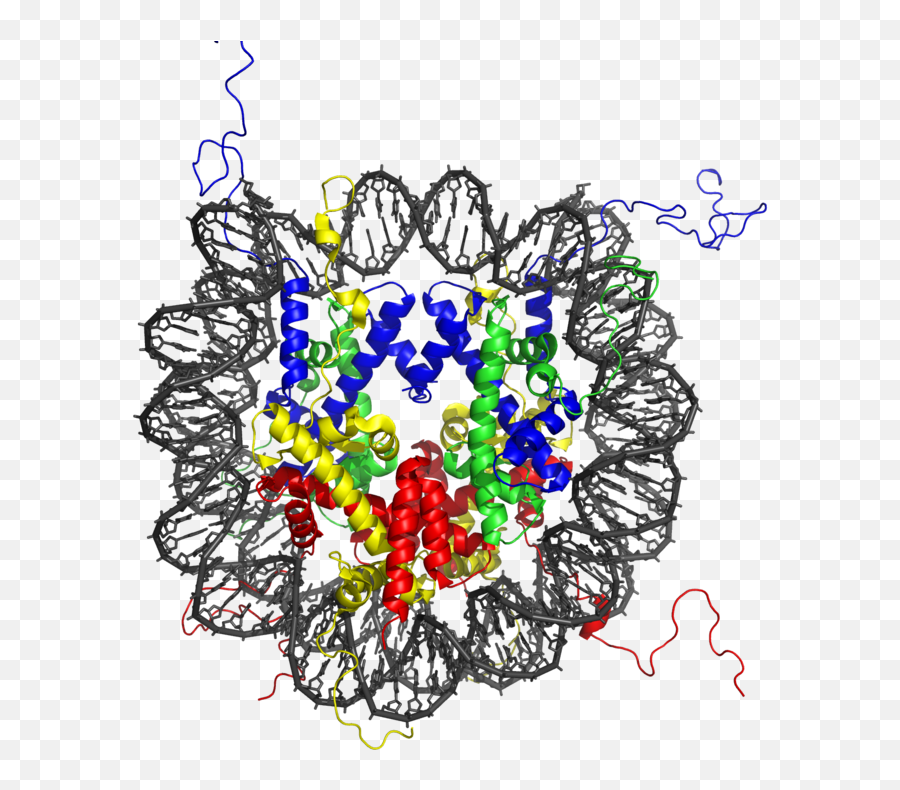 Epigenetics In Psychology Noba - Struttura Nucleosoma Emoji,Ap Psychology Emotions Stress And Health