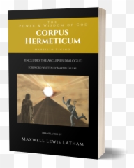 The Adept U2013 Potions And Emotions U2013 André Consciência - Book Cover Emoji,Emotion Potions