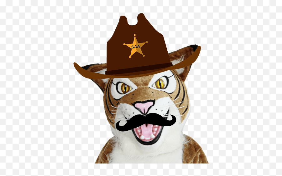 Cowboy Breakfast - Costume Hat Emoji,Cowboy Syndrome Emotions