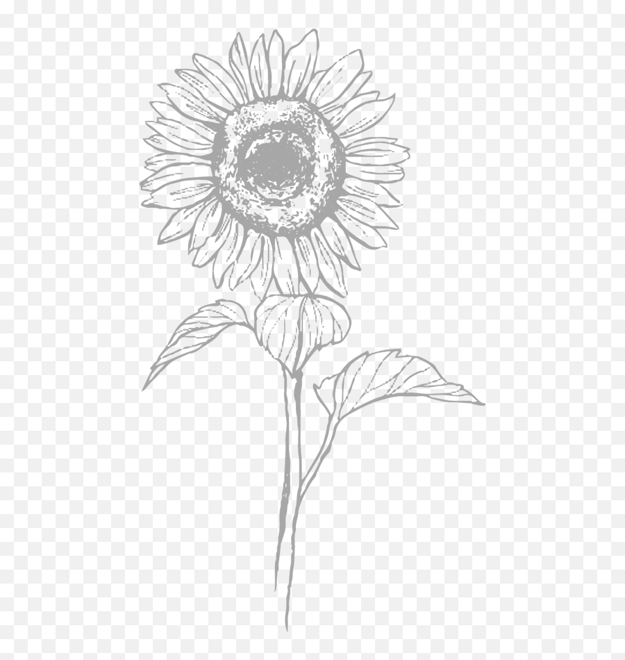 What To Do When A Friend Unfollows You Diana Elizabeth - Sunflower Contour Drawing Emoji,Sunflowers Emotion