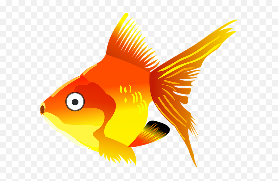 Here Little Fishy By Elizabeth Gemmell - Cartoon Goldfish Png Emoji,Qoobee Emoticons