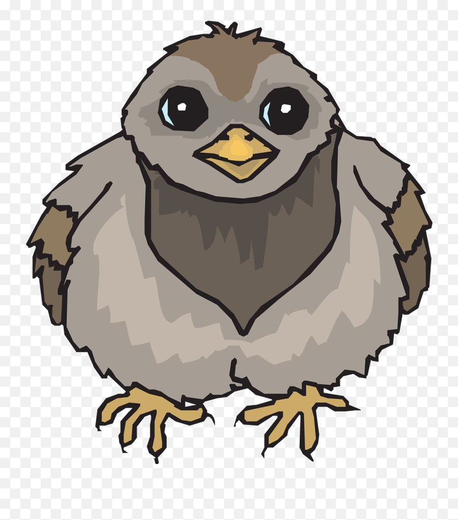 Baby Bird Synonym - Drawing Of Baby Pigeon Emoji,Baby Bird Egg Emoji