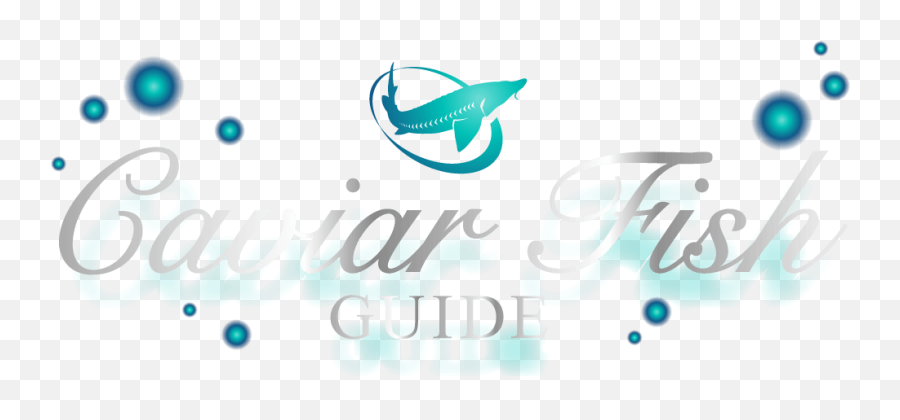 Download Hd Caviar Fish Guide - Graphic Design Transparent Dot Emoji,Emoticon Cavear