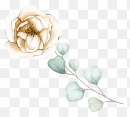 Wedding Live Streaming Service Packages Prices Emoji,Nobodys Have Emotion