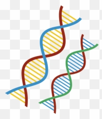 Dna Clipart Free Download Transparent Png Creazilla Emoji,Dna Double Helix Emoji