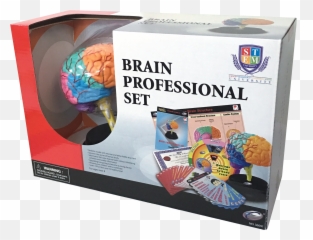 Learning U0026 Education - Toyworldcom Cardboard Packaging Emoji,Galaxy Brain Emoji