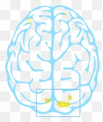 Tinie Tempahs - Brain Emoji,Brain Scans Of Emotions