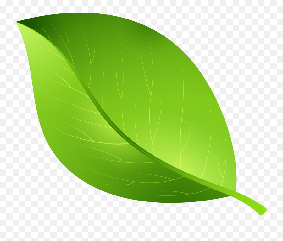 Green Leaf Transparent Png Clip Art Emoji,Green Leaf Emoticon