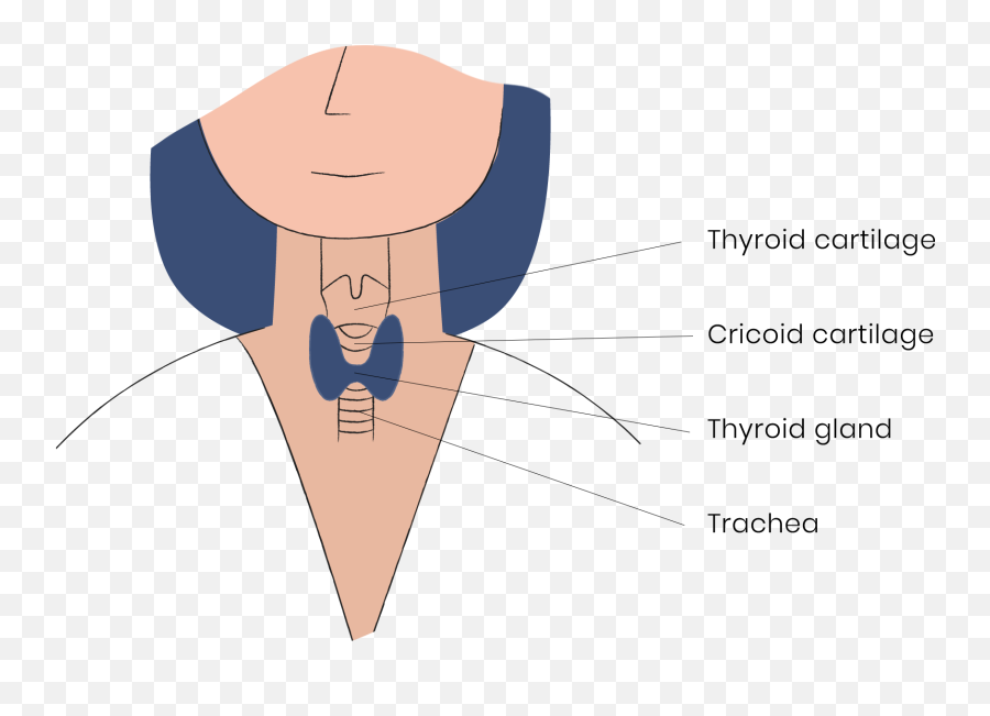 Check Your Thyroid With A Self - Hypothyroidism Cartoon Emoji,Emotion Code Questions For Thyroid