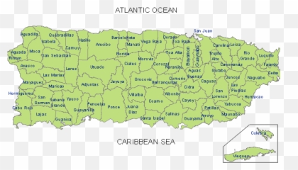 Cooking Utensils Tostonera Mapa De Puerto Rico Home U0026 Garden - Puerto Rico Map With Cities And Towns Emoji,Puerto Rican Emoticons