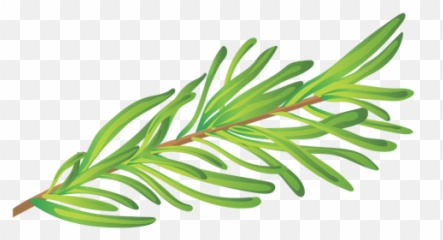 Erva Png U0026 Svg Transparent Background To Download Emoji,Seedling Emoji Svg