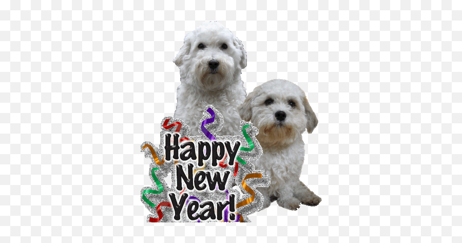 Top Cutedog Stickers For Android U0026 Ios Gfycat - Animated Happy New Year Dogs Emoji,Doge Emoji