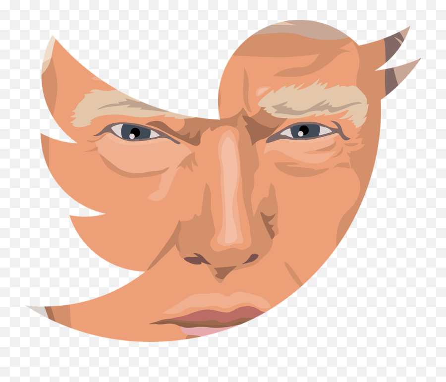 Analyzing President Trumpu0027s Economic And Financial Tweets - Trump Twitter No Background Emoji,Obama Emojis