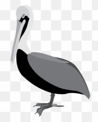 Pelican Clipart Sea Bird Pelican Sea - Pelican Vector Png Emoji,Pelican Emoji