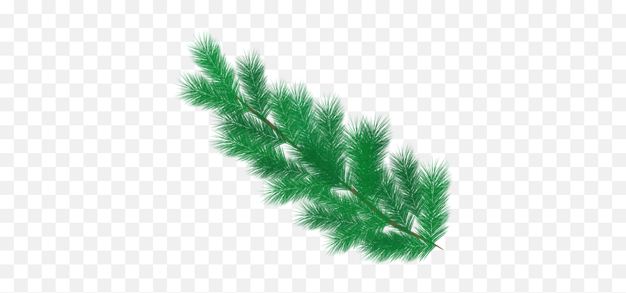 Pixaline - Snowy Pine Tree Leaves Png Emoji,Pine Needles Emoji