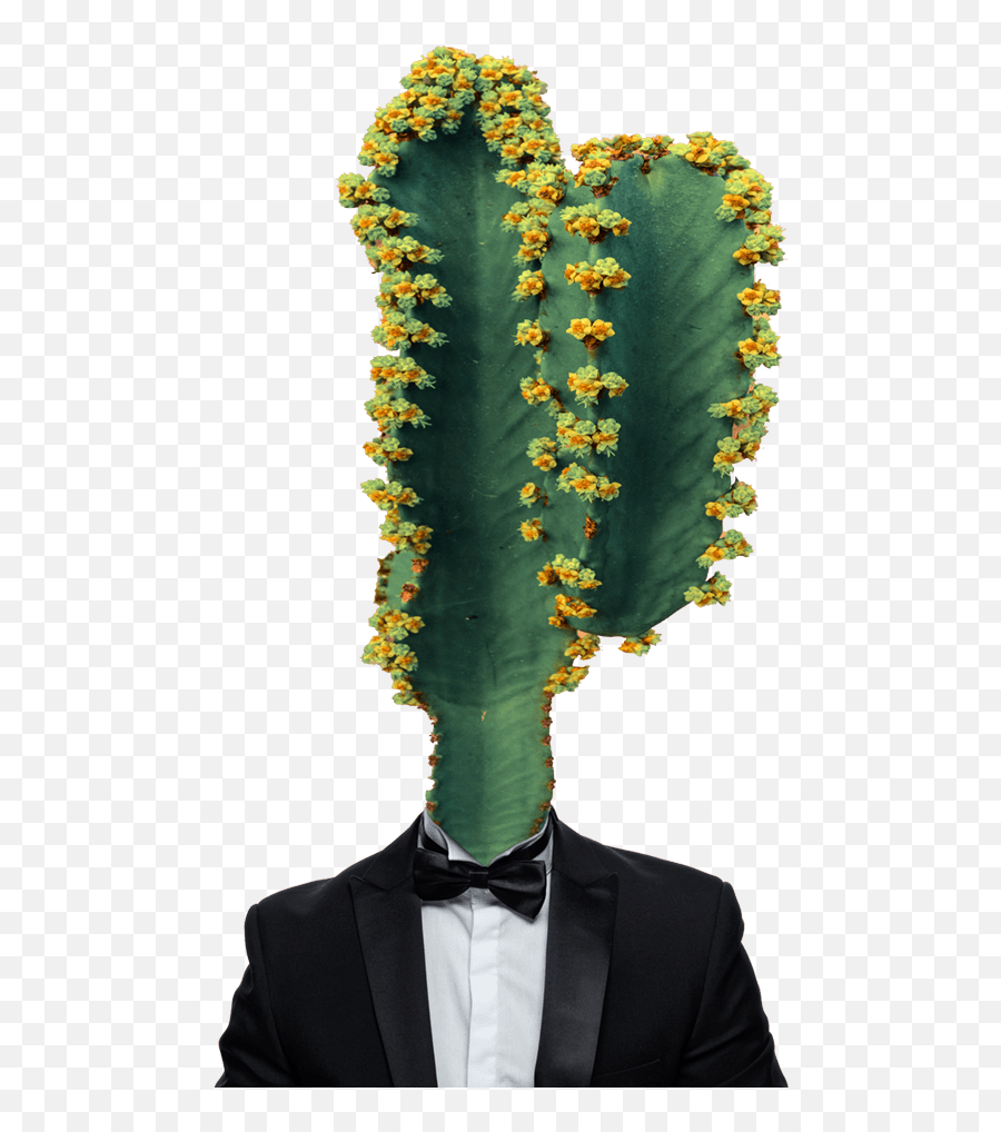 Oof Creatives U2013 Handpicking Creative Tales - Cactus Person Emoji,Planche Bd Emotion Bulle