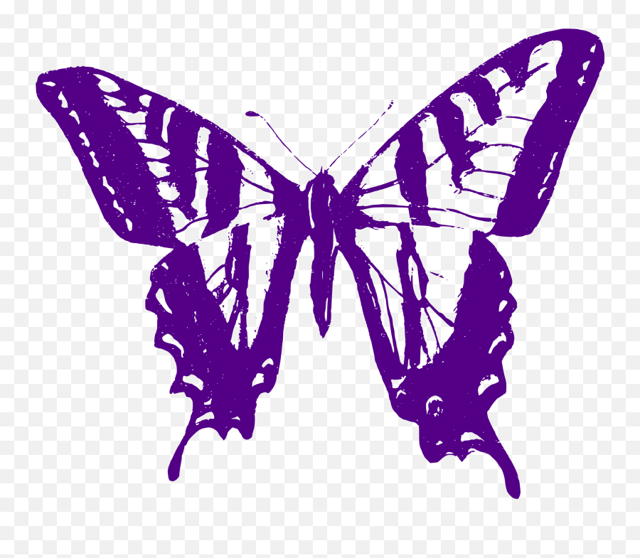 Purple Butterfly Purple Butterfly Png - Swallowtail Transparent Purple Butterfly Outline Emoji,Purplebutterfly Emojis
