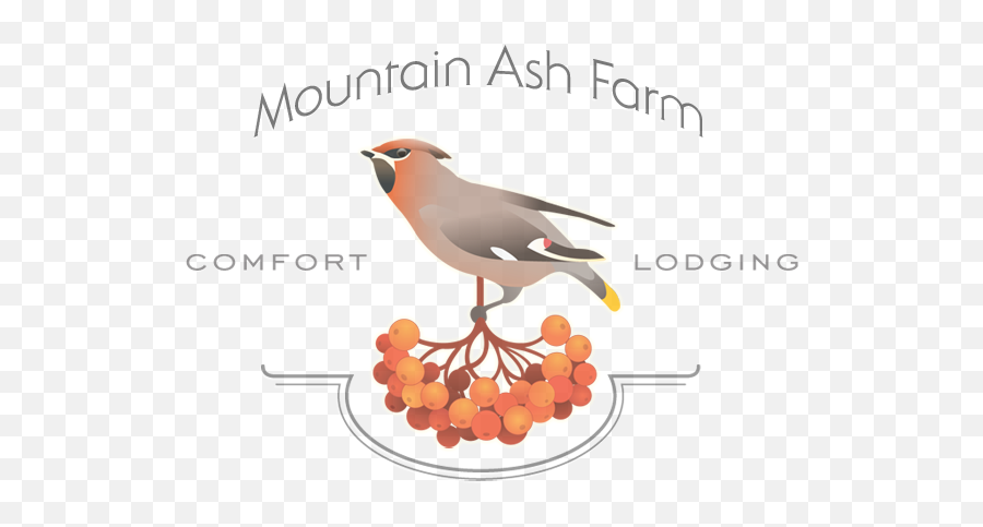 News U2014 Mountain Ash Farm - Bohemian Waxwing Emoji,Sheila Hutchinson Emotions