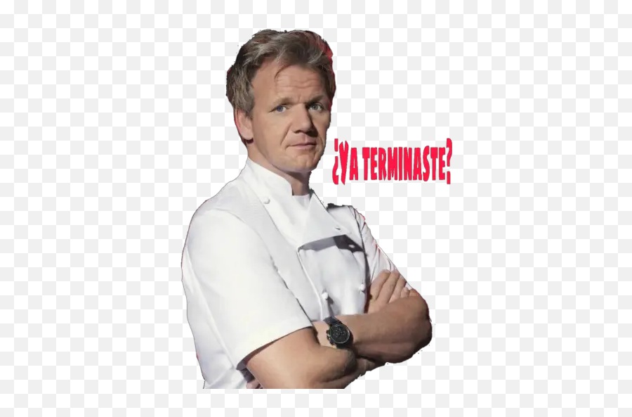 Gordon Ramsey Stickers For Whatsapp - Watch Strap Emoji,Gordon Ramsay Emoji