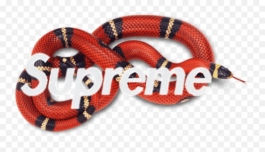 Gucci Snake Logo Wallpapers On Wallpaperdog Emoji,Gucci Logo Emoticon