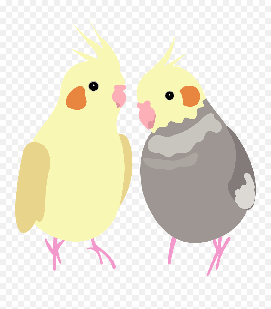 Cockatiel Quarrion Bird Clipart - Pet Birds Emoji,Cockatiel Emoji