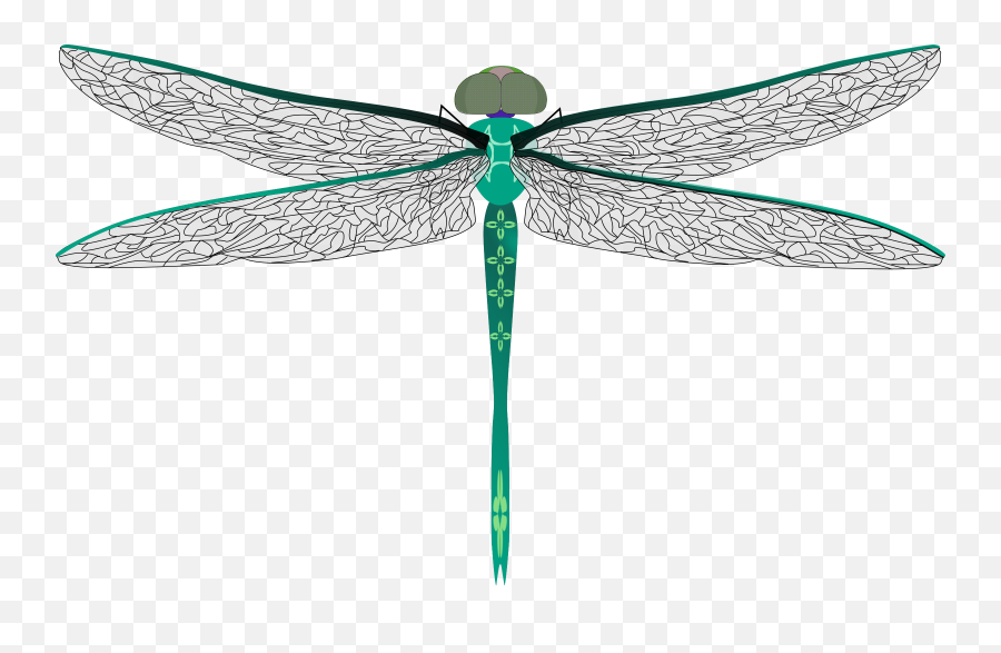 100 Free Devil U0026 Demon Vectors - Pixabay Green Dragonfly Transparent Background Emoji,Dragonfly Emoticon