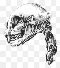 Emotions Ehsan Sticker - Skeleton Cat Emoji,Sketch Of Emotions