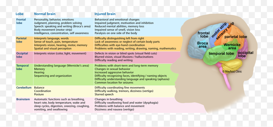 Pin On Nursing Stuff - For Adult Emoji,The Body And Emotions Visual