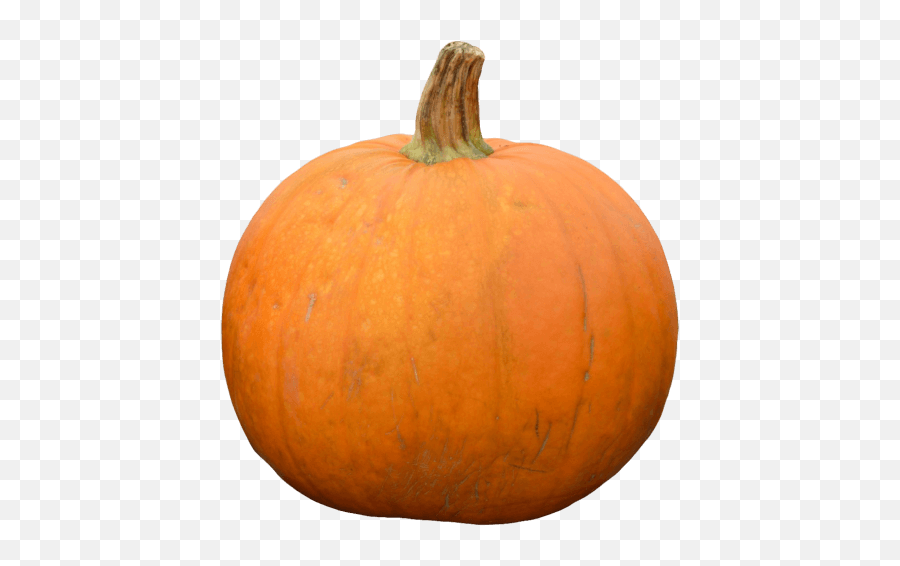 Free Png Image - Pumpkin Png Emoji,Pumpkin Emoji Iphone