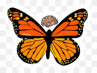 Mental Health Resources In The Rio Grande Valley - Orange Butterfly Emoji,Alices Emotion Intervention