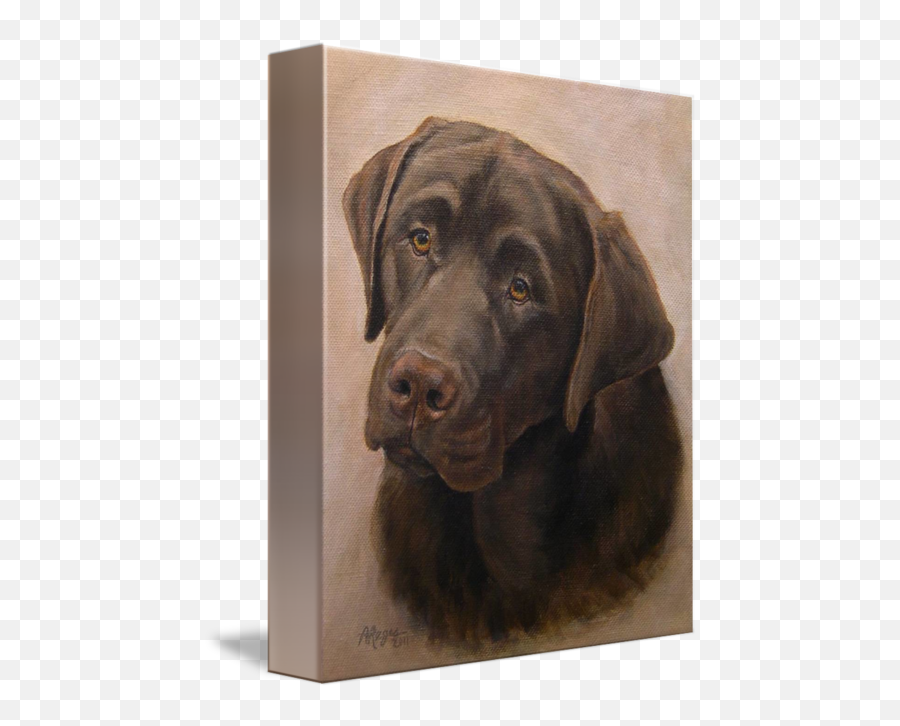 Chocolate Labrador Retriever Portrait By Amy Reges - Chocolate Labrador Retriever Portrait Emoji,Emotion Code Chocolate