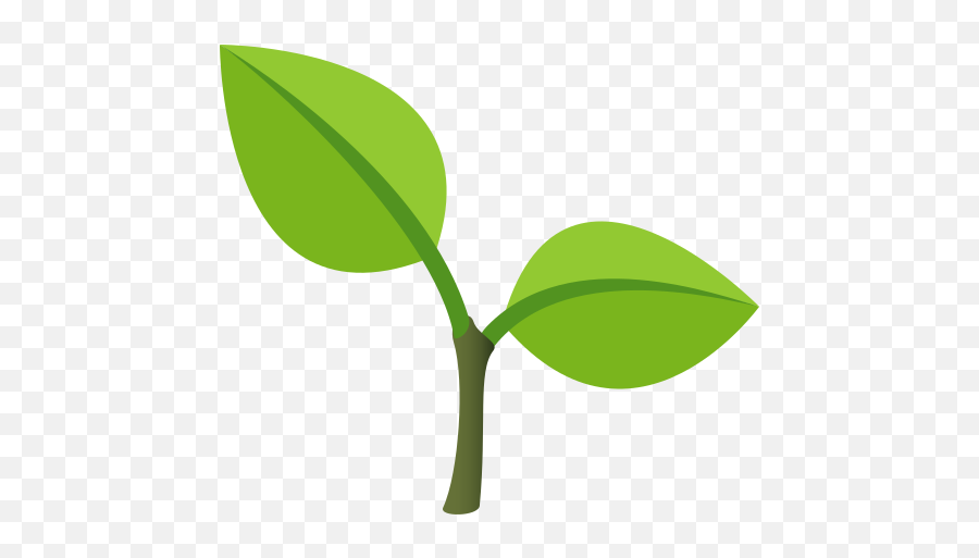 Emoji Sowing Inch Of Plant - Plantita Emoji,Leaf Emoji