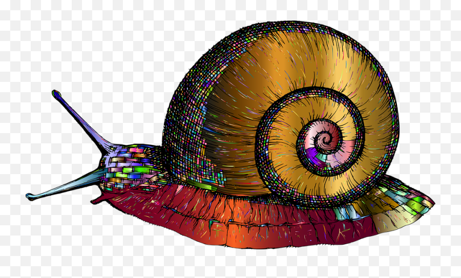 100 Free Snail U0026 Shell Vectors Emoji,Slug Emoji