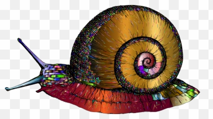 100 Free Snail U0026 Shell Vectors Emoji,Slug Emoji