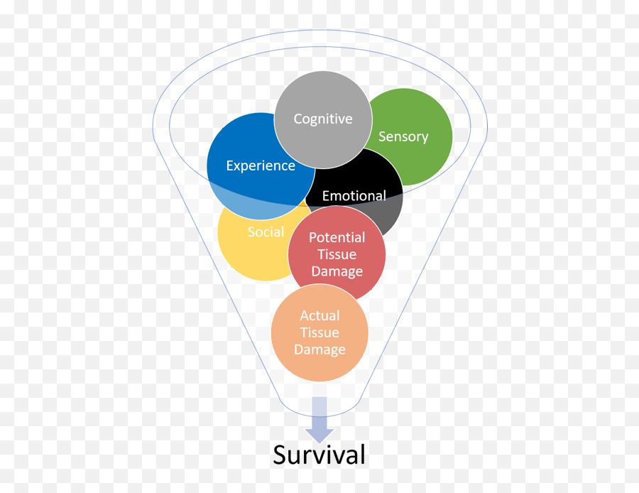 Pain Science U2013 Guiding The Path U2013 The Logic Of Rehab - Vertical Emoji,Emotions And Pain