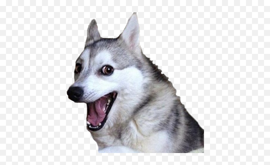 Dog Emojis - Discord Emoji Bad Joke Dog Template,Doge Emoji