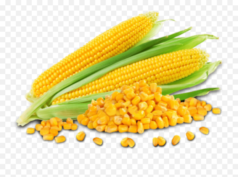 Trenjah Delivery In Ibn Sina Hungerstation - Yellow Maize Emoji,Corn Cob Emoji
