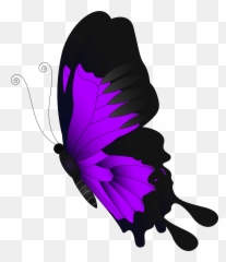 Library Of Purple Apple Vector Freeuse Library Png Files - Green Butterfly Png No Background Emoji,Butterfly Emoji Ios