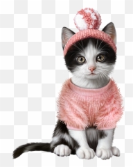 Cats And Kittens Cats Cute Cats - Happy Birthday Dad With Cat Emoji,Gato Azul Facebook Emotion