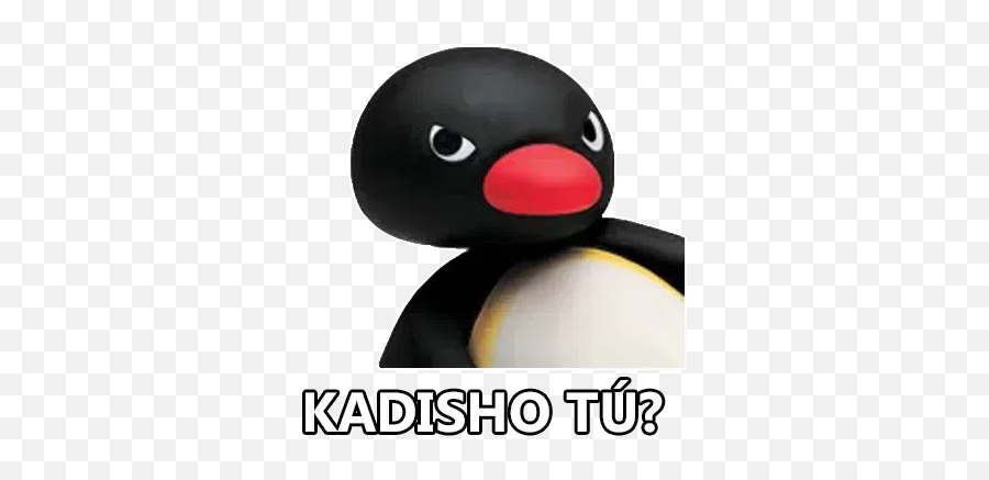 Pingüinos Whatsapp Stickers - Stickers Cloud Kadisho Tu Meme Emoji,Emojis De Pinguinos Utilizables