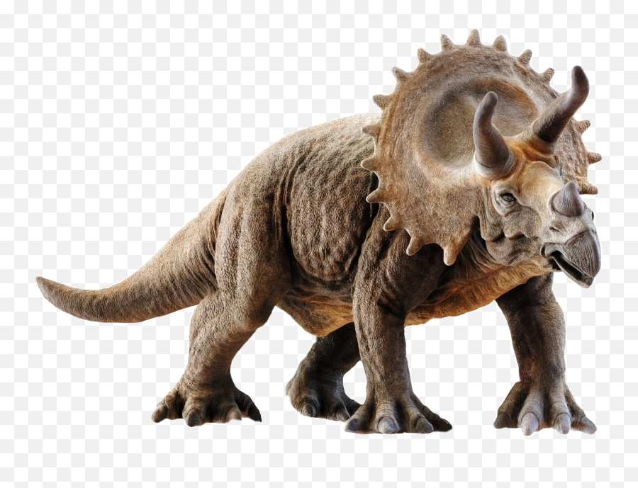 Triceratops Dinosaurs Dinosaur Sticker - Triceratops Png Emoji,Dinosaur Emojis Android