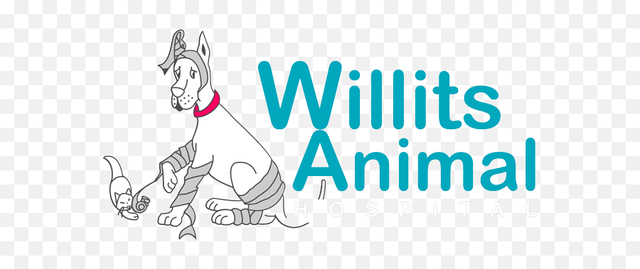 General Medicine Willits Ca Willits Animal Hospital - Auditor Proud Day Deloitte Emoji,I Am More Than Capable Of Separating Emotion From