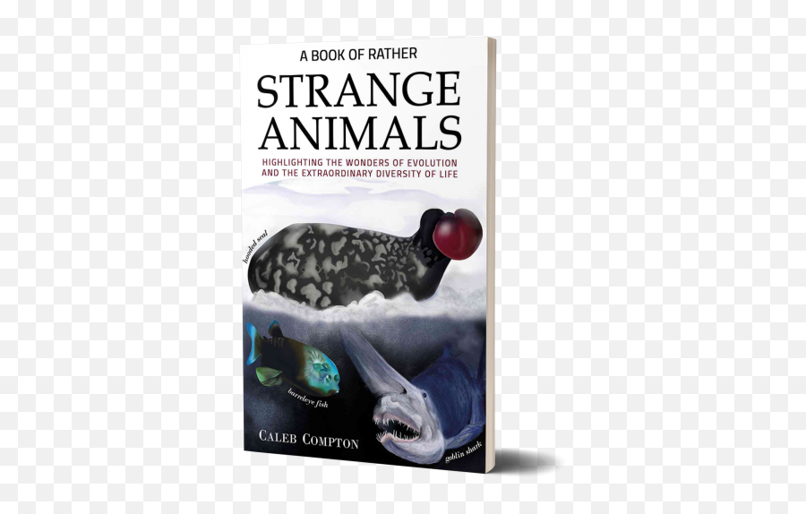 News - Book Of Rather Strange Animals Emoji,Guy Gives A Shark Book Emotions