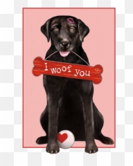 Labrador Retriever Labrador - Martingale Emoji,Dog With Ar Emojis