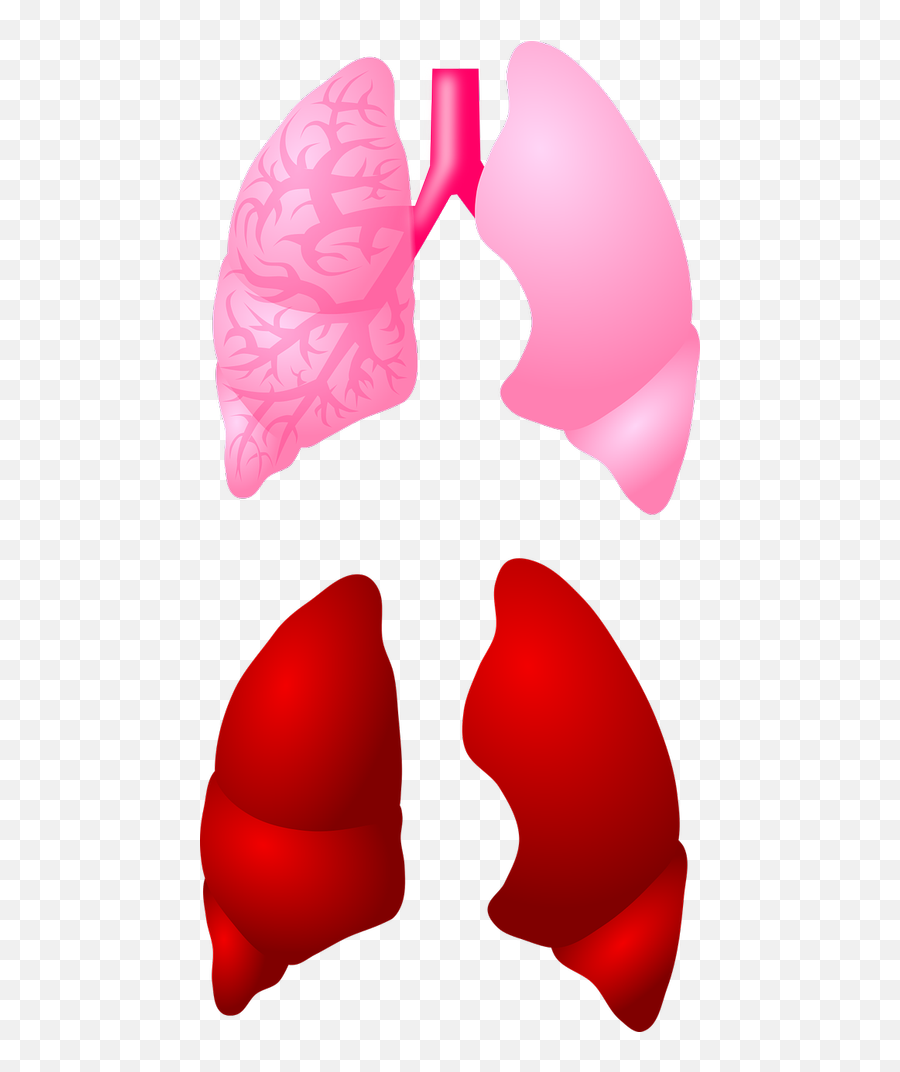 Breath Public Domain Image Search - Heart Emoji,Holding My Breath Emoticon