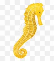 Most Downloads - Free Png Images Starpng Real Sea Horse Png Emoji,Kabah Emoji