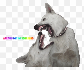200 Sparkly Ideas In 2021 Animecore Webcore Yay Scene Emo Emoji,Dog Showing Emotion Tumblr