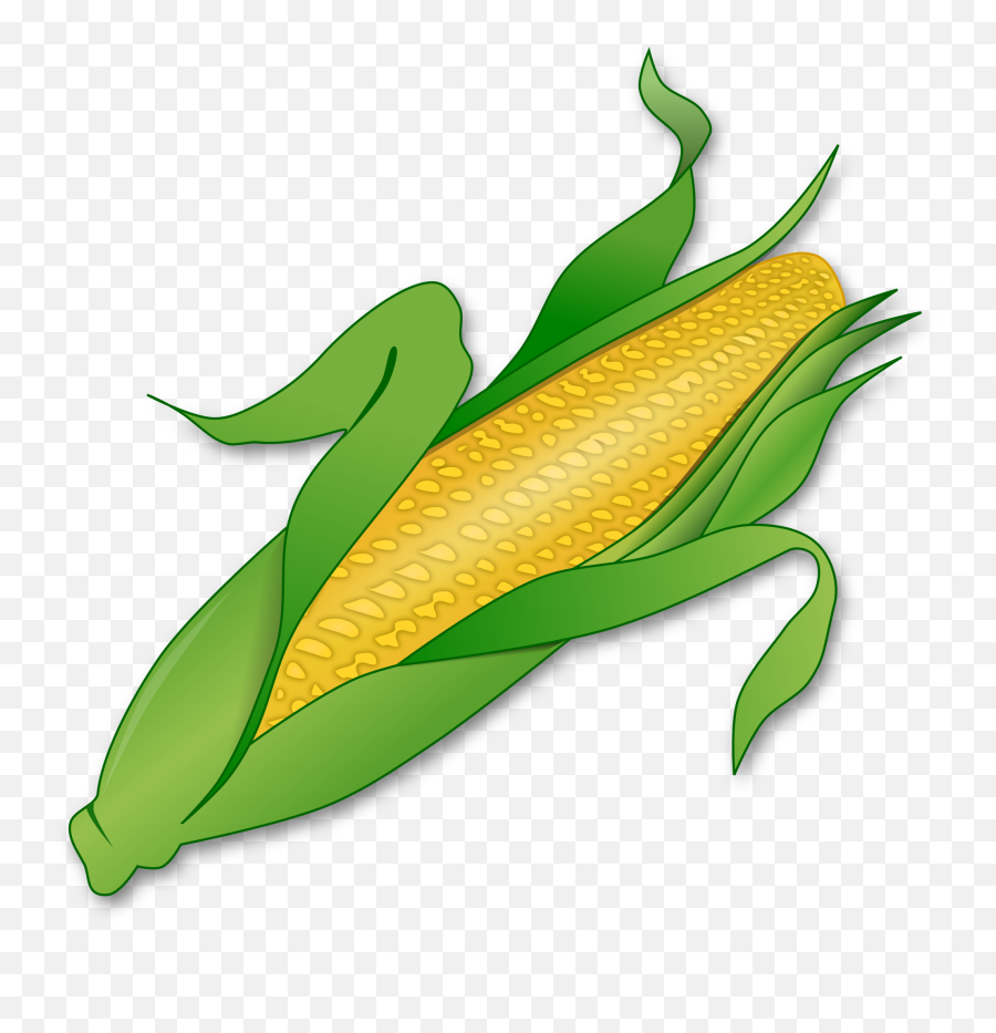 Corn Clipart Svg Corn Svg Transparent Free For Download On - Free Clipart Corn Emoji,Corncob Emojis