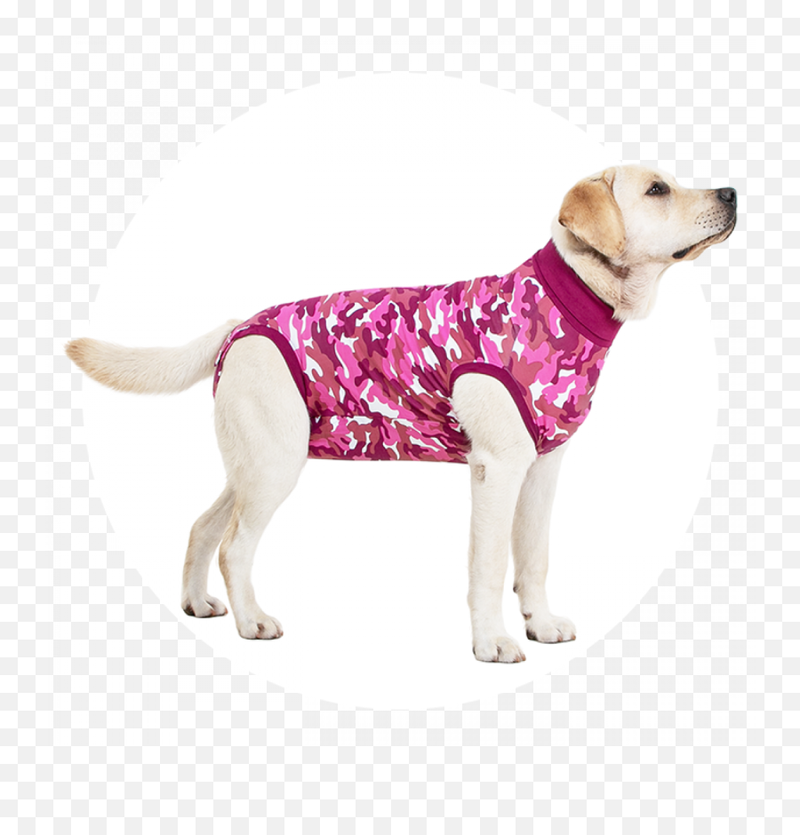Recovery Suit Dog - Suitical Suitical Recovery Suit For Dogs Emoji,Pet Emotions Chart