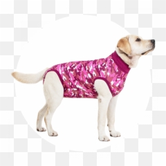 Recovery Suit Dog - Suitical Suitical Recovery Suit For Dogs Emoji,Pet Emotions Chart